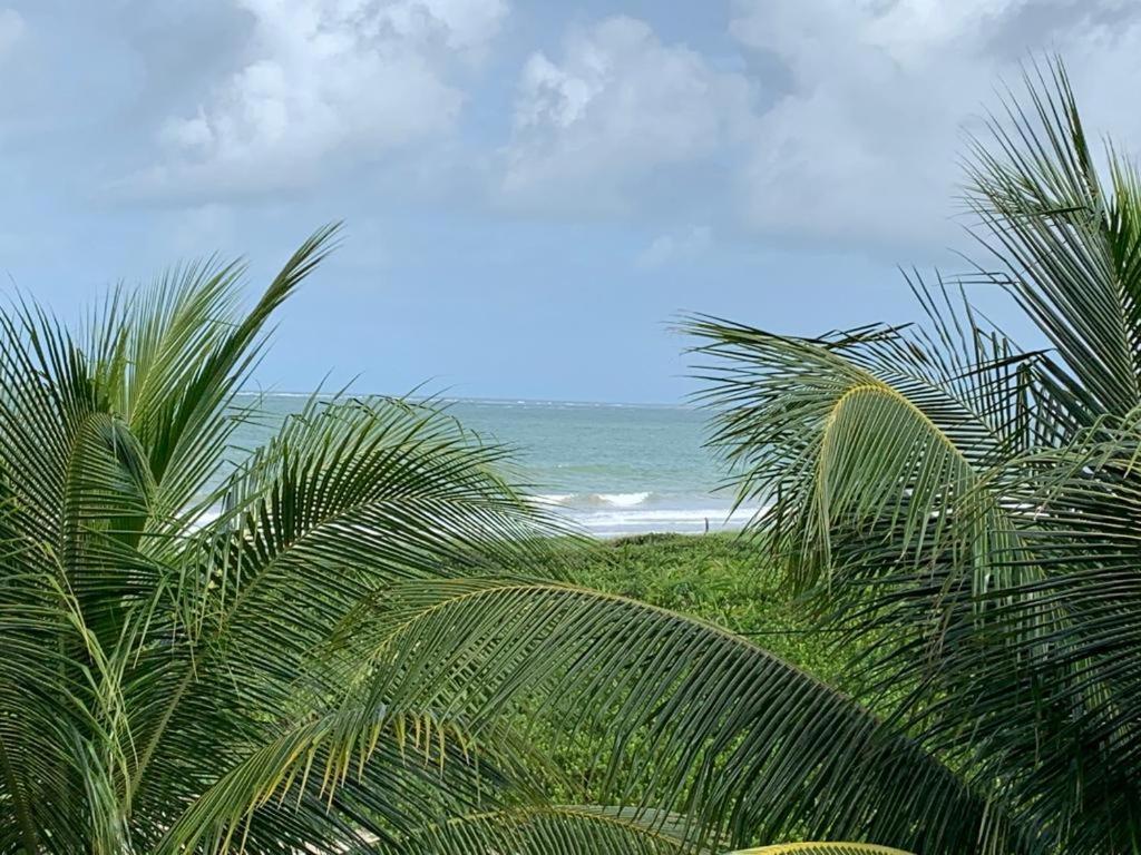 Casa No Paraiso Dos Carneiros Em Tamandaré Exteriör bild