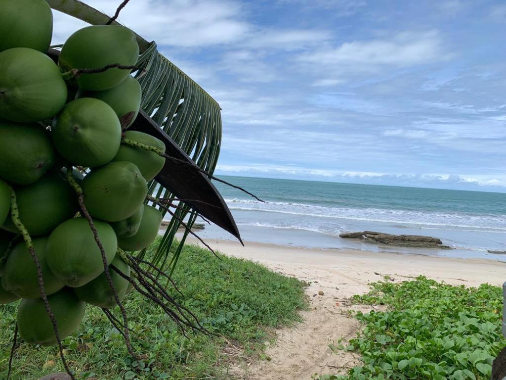 Casa No Paraiso Dos Carneiros Em Tamandaré Exteriör bild